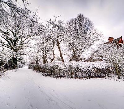 Ortsansicht Born - Winter