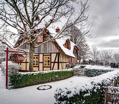 Ortsansicht Born - Winter