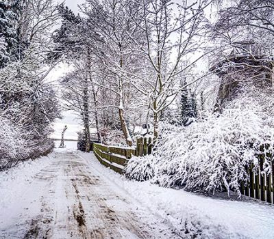 Ortsansicht Born - Winter